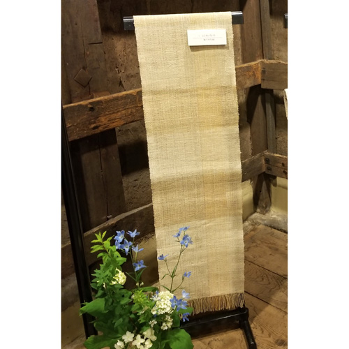 フジオリの帯楠木